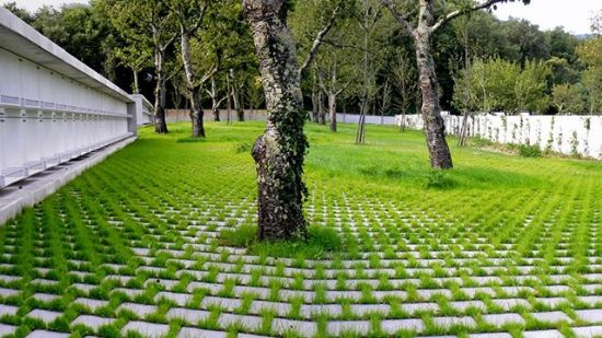 Peyzaj Proje - Uygulama - Danışmanlık resmi