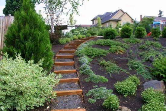 Peyzaj Proje - Uygulama - Danışmanlık resmi