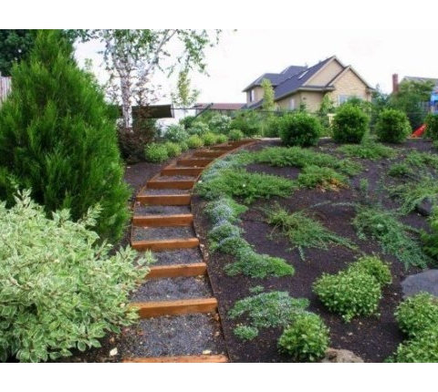 Peyzaj Proje - Uygulama - Danışmanlık resmi