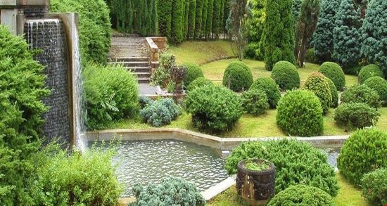 Peyzaj Proje - Uygulama - Danışmanlık resmi