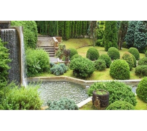 Peyzaj Proje - Uygulama - Danışmanlık resmi